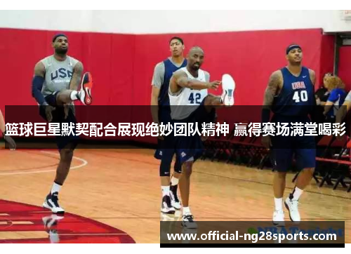 篮球巨星默契配合展现绝妙团队精神 赢得赛场满堂喝彩