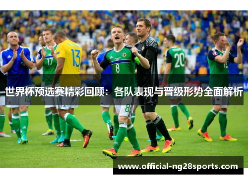 世界杯预选赛精彩回顾：各队表现与晋级形势全面解析