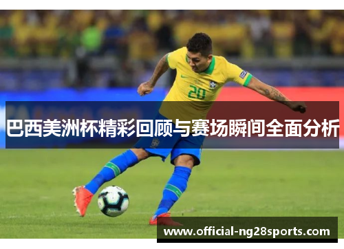 巴西美洲杯精彩回顾与赛场瞬间全面分析