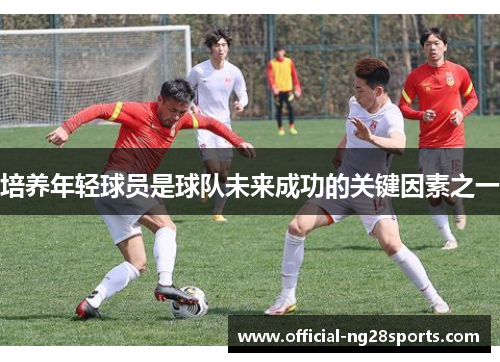 培养年轻球员是球队未来成功的关键因素之一