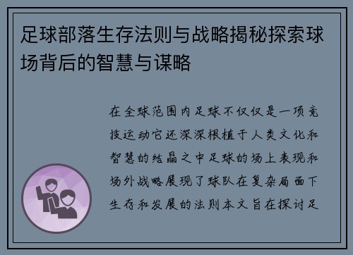 足球部落生存法则与战略揭秘探索球场背后的智慧与谋略