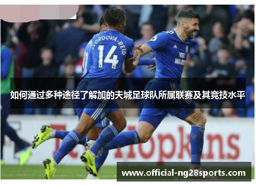 如何通过多种途径了解加的夫城足球队所属联赛及其竞技水平