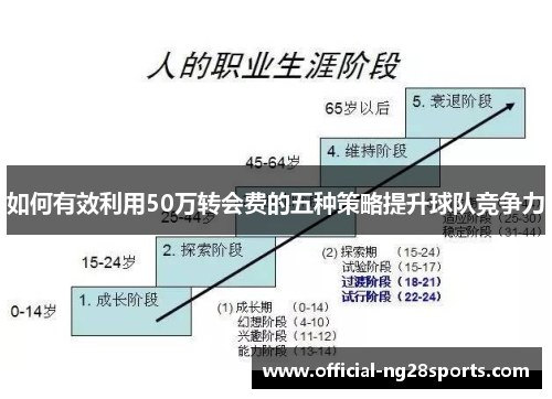 如何有效利用50万转会费的五种策略提升球队竞争力