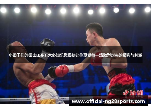 小拳王们的拳击比赛五大必知乐趣揭秘让你享受每一场激烈对决的精彩与刺激